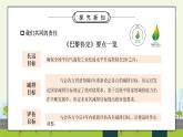 部编版六年级道德与法治下册第二单元《爱护地球共同责任-地球我们的家园》第三课时PPT课件