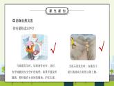 部编版六年级道德与法治下册第二单元《爱护地球共同责任-应对自然灾害》第二课时PPT课件