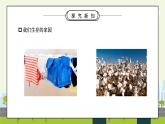 部编版六年级道德与法治下册第二单元《爱护地球共同责任-地球我们的家园》第一课时PPT课件