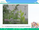 第十一课2课时《变废为宝有妙招》课件+教案