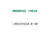 人教版道德与法治六年级上1感受生活中的法律  第一课时 课件