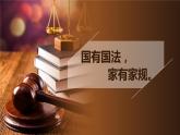 人教版道德与法治六年级上1感受生活中的法律  第一课时 课件