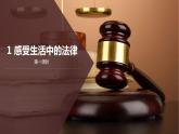 人教版道德与法治六年级上1感受生活中的法律  第一课时 课件