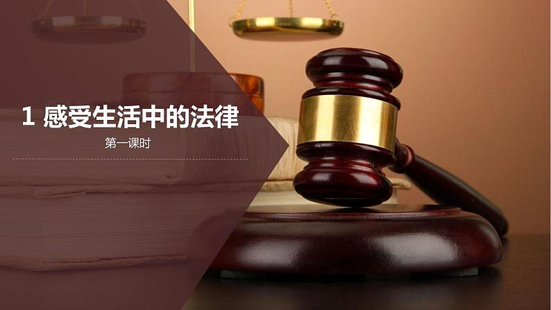 人教版道德与法治六年级上1感受生活中的法律  第一课时 课件第4页