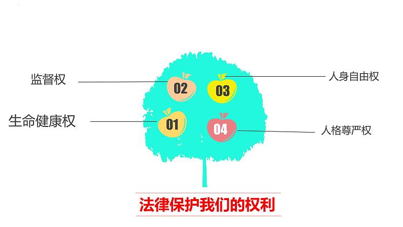 人教版道德与法治六年级上1感受生活中的法律  第一课时 课件第8页