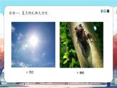 第1课《 假期有收获 》课件+教案+练习
