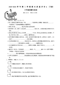 河北省邢台市威县2023-2024学年六年级下学期期末道德与法治试卷