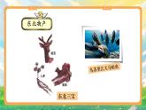 部编版小学道法二上 14家乡物产养育我 第2课时 课件+教案