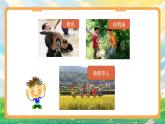 部编版小学道法二上 13我爱家乡山和水 第2课时 课件+教案