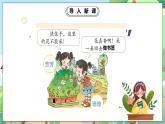 人教部编版道德与法治一年级下册 第六课《花儿草儿真美丽》第二课时 课件+教案+练习+素材