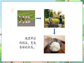 人教部编版道德与法治一年级下册 第八课 大自然，谢谢您 课件+教案+练习
