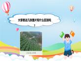 編版版道德與法治五年級上冊 第六課《我們神圣的國土》第三課時（教學課件+教學設計）