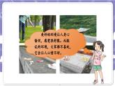 【核心素养】部编版道德与法治二上10《我们不乱扔》课件+教案