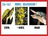 习近平新时代中国特色社会主义思想学生读本（小学高年级）第11讲 国家安全是头等大事（同步课件+同步教案）