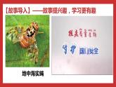习近平新时代中国特色社会主义思想学生读本（小学高年级）第11讲 国家安全是头等大事（同步课件+同步教案）