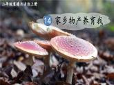 人教部编版道法二年级上册 14 家乡物产养育我 同步课件
