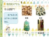 人教部编版道法二年级上册 14 家乡物产养育我 同步课件