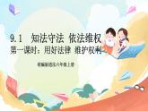 【核心素养】9.1 《知法守法 依法维权》 第一课时 课件+教案+素材