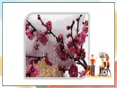 【核心素養(yǎng) 】14.1《 健康過冬天》第一課時(shí)  課件+素材+教案+學(xué)習(xí)任務(wù)單+作業(yè)