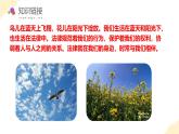 【核心素养】部编版道法六年级上册 第一课 感受生活中的法律 第1课时 法律是什么 课件+同步教案
