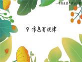 9 作息有規(guī)律（課件）2024-2025學(xué)年統(tǒng)編版道德與法治一年級(jí)上冊(cè)