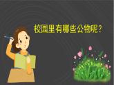 （2024）统编版道德与法治一年级上册（14）人人爱公物PPT课件