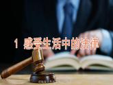 部编版六年级道德与法治上册第1课《感受生活中的法律》优质课件