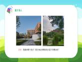 部編版道德與法治（2024）一年級上冊第15課 我們不亂扔 課件