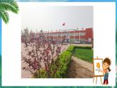 小学道德与法治统编版五年级下册 5《建立良好的公共秩序》 课件