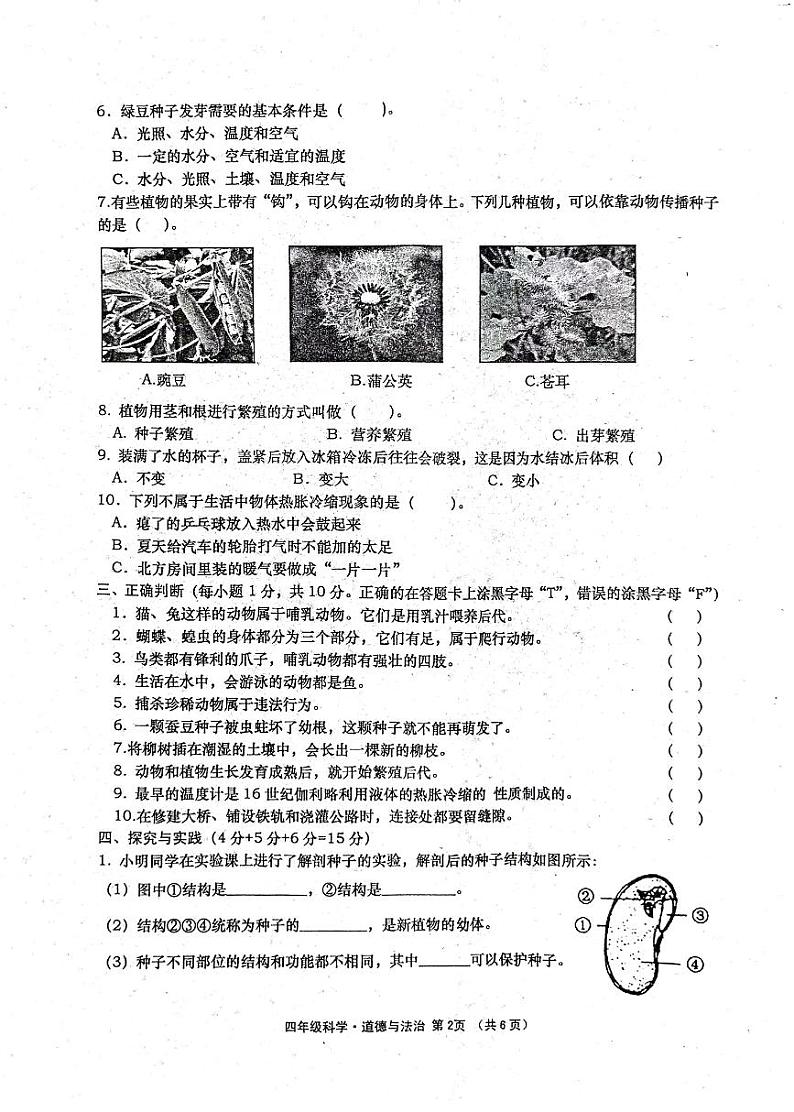 四年级科学道法第2页