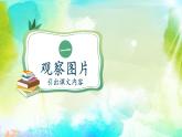 【新课改】人教部编2024（道德与法治）一上第4单元16《大家排好队》课件【1课时】+教案+字体