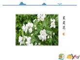 统编版道德与法治二上第四单元《家乡物产养育我》优质课件