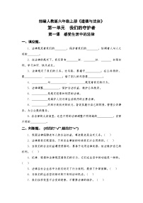 统编版（2024）六年级上册1 感受生活中的法律练习题