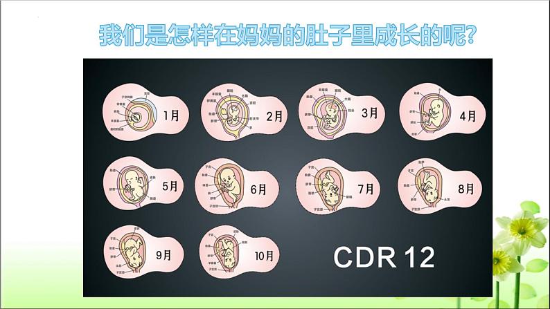 统编版道德与法治三年级上册第三单元《生命最宝贵》优质课件第6页