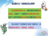 统编版道德与法治 六年级上册第一单元《宪法是根本法》示范课件第1课时