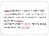 人教统编版道德与法治四年级下册第四单元感受家乡文化 关心家乡发展10 我们当地的风俗（教学）习题课件
