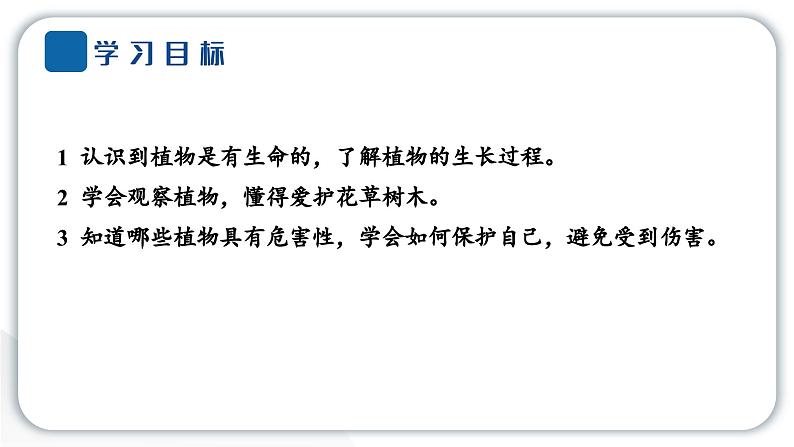 人教统编版道德与法治一年级下册第二单元我和大自然6 花儿草儿真美丽（教学）习题课件第2页