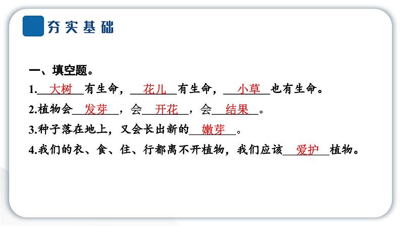 人教统编版道德与法治一年级下册第二单元我和大自然6 花儿草儿真美丽（教学）习题课件第3页