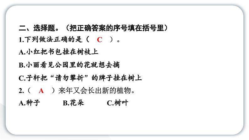 人教统编版道德与法治一年级下册第二单元我和大自然6 花儿草儿真美丽（教学）习题课件第4页