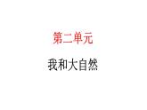 人教统编版道德与法治一年级下册第二单元我和大自然5 风儿轻轻吹（教学）习题课件