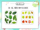 部编版小学道德与法治三年级下册1.1《我是独特的》第一课时 课件+教案