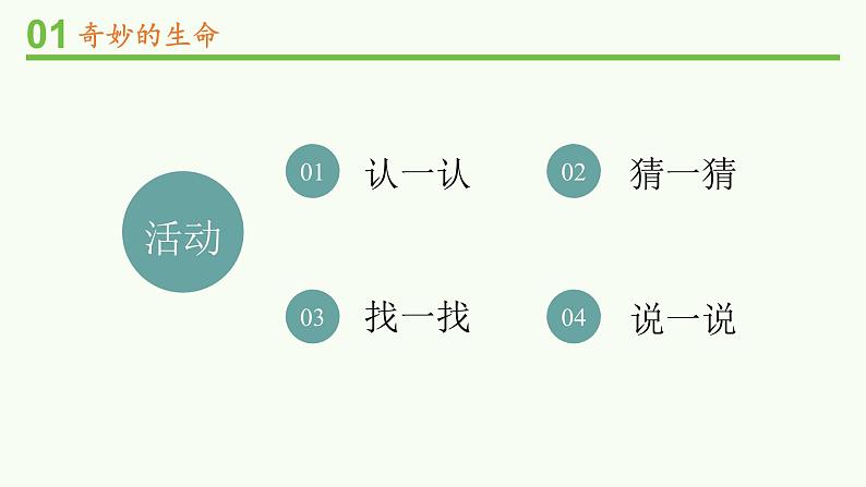 统编版小学道德与法治二年级下册 1-4试种一粒籽第一课时 课件第3页