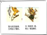 統(tǒng)編版小學(xué)道德與法治一年級下冊1-3《我不拖拉》課件