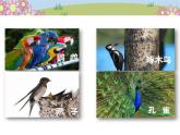 統(tǒng)編版小學(xué)道德與法治一年級下冊1-3《我不拖拉》課件