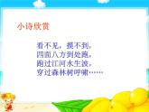 統(tǒng)編版小學(xué)道德與法治一年級下冊2-5《風(fēng)兒輕輕吹》課件