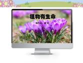 統(tǒng)編版小學(xué)道德與法治一年級下冊2-6《花兒草兒真美麗》課件