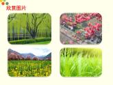統(tǒng)編版小學(xué)道德與法治一年級下冊2-6《花兒草兒真美麗》課件