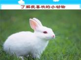 統(tǒng)編版小學(xué)道德與法治一年級下冊2-7《可愛的動物》課件