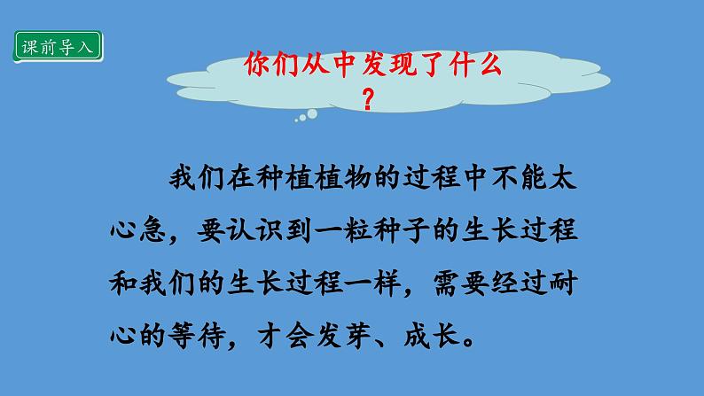 4.2 试种一粒籽  第二课时 课件课件 2024-2025学年道德与法治二年级下册统编版第7页