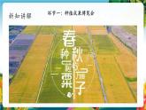 【核心素养大单元】部编版道德与法治二年级下册4.试种一粒籽（第二课时）单元整体分析+课件+教案+素材